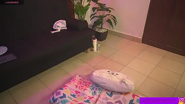 calypso_and_g2のウェブカメラショー