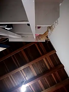 دردشة Zaira_Rose_ الجنسية المباشرة