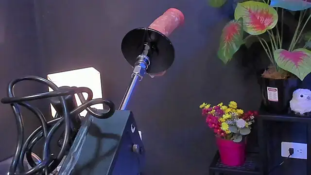 Amy_whittee 라이브 XXX 채팅