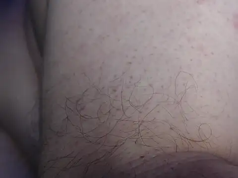 danypalmer's Webcam Show