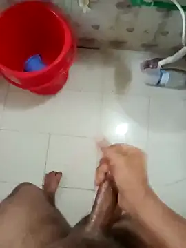 zim200 – webcam-show