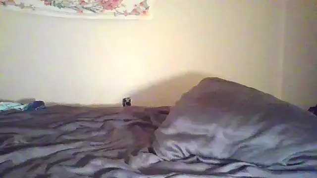 angeliquebelcali – Naživo XXX chat