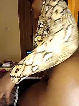 Bossetassy's Webcam Show