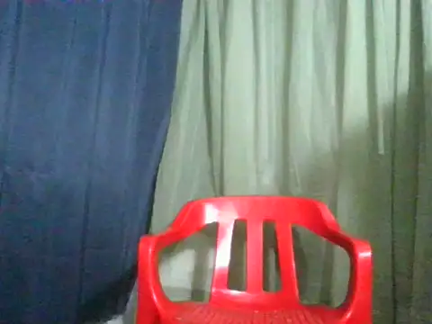 Pertunjukan Kamera Web Conorlee