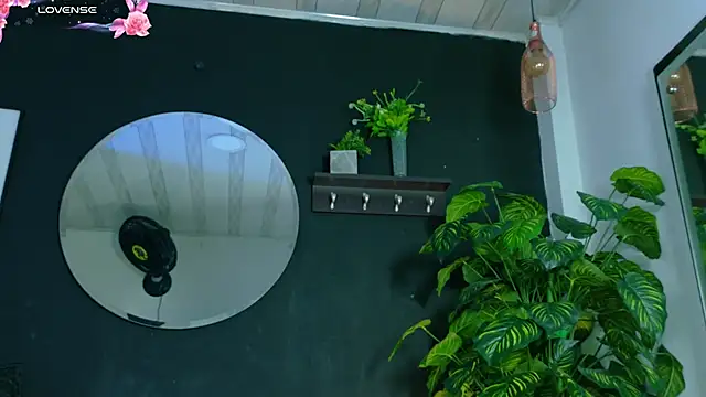 Noaah25_ Chat XXX live