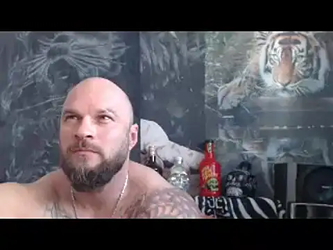 viking_30 Webcam-Show