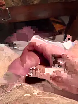 spinghot webcam show