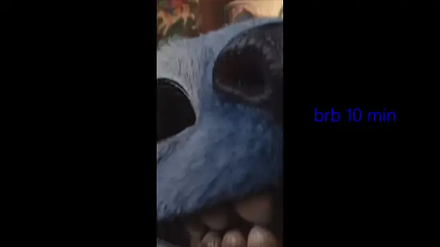 Chat +18 de vinkitinkii ao vivo