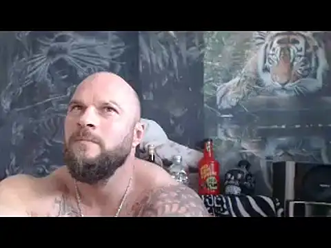 viking_30n Webbikameraesitys