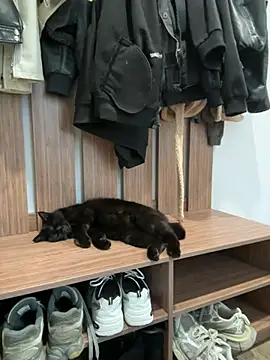 Sembang XXX Secara Langsung FlexibleDoll_