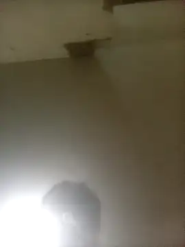 Bebacho14 Live XXX-chat