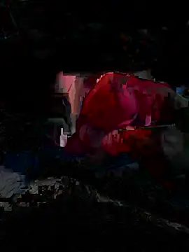 spinghotn Webbikameraesitys