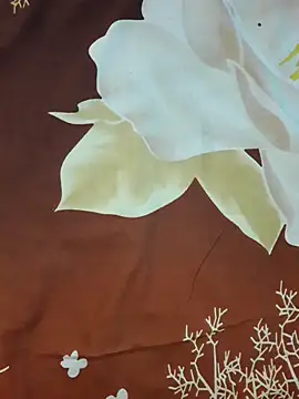 Asher_Jack: διαδικτυακό σόου στην κάμερα