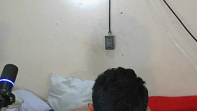 P4NT0J4のウェブカメラショー