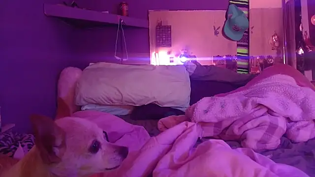 watermellonpussy's Live XXX Chat