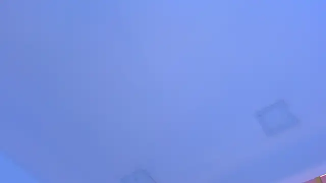 Sebax_Young Pertunjukan Webcam