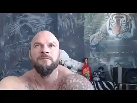 Show webcam de viking_30