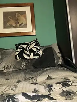 clipper12's Webcam Show