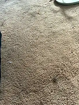 Show modela usuario55778 na web-kameri