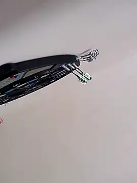 Webkamerová show hamstiboy55