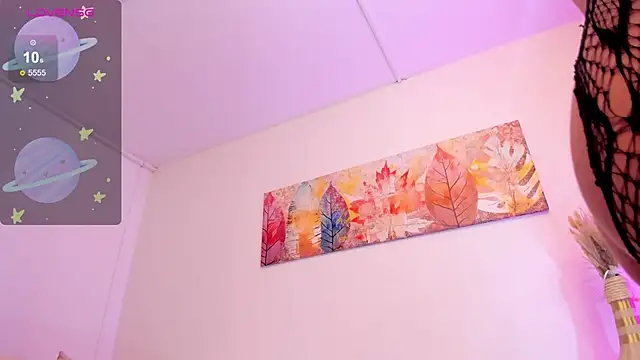 SALOME_F0X_n Webbikameraesitys