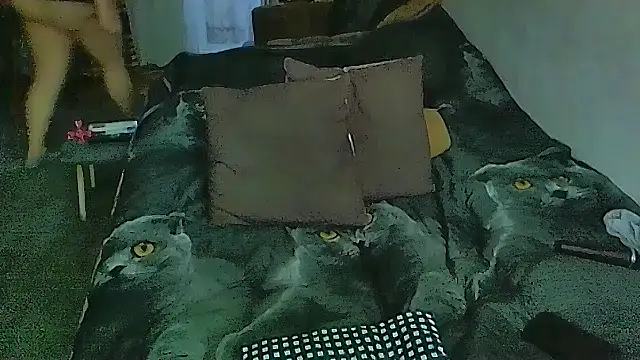 sex2: απευθείας συνομιλία ΧΧΧ