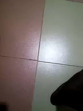 TICKDICK320 网络视讯表演