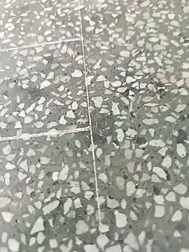 tailua05 Show Webcam