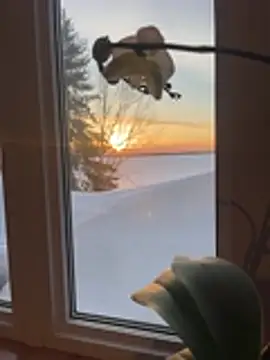 Show Webcam de spinghot