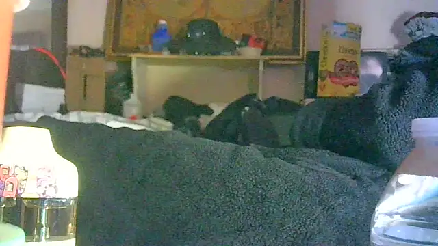 GUAPAN3S3_FIR3's Live XXX Chat