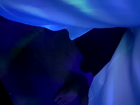 Show webcam de chronic_vibez