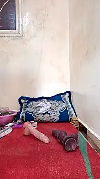 عرض كام trans511