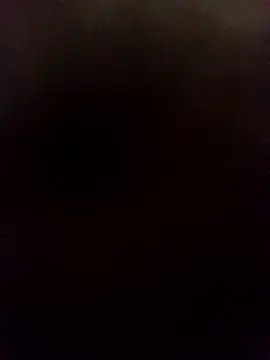 lilpip 网络视讯表演