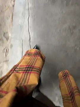 Chat +18 de petoys ao vivo