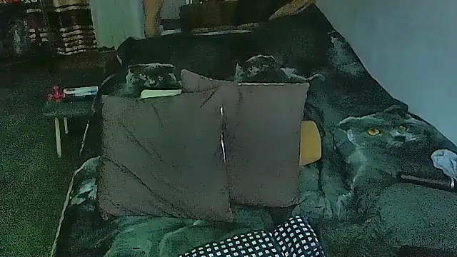 Chat +18 de sex2 ao vivo