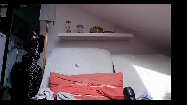 Show webcam de Cambitchboy