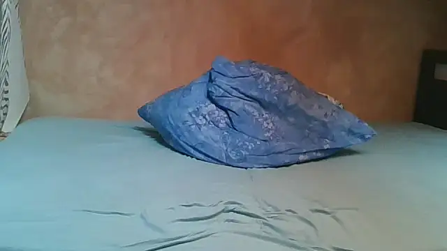 SchwanzlochStute: διαδικτυακό σόου στην κάμερα