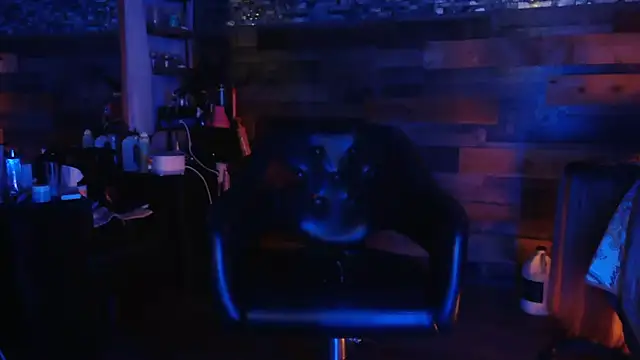 MISTERANDDEMI – Kamerová šou