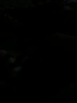 UrielPortes5327 웹캠 쇼