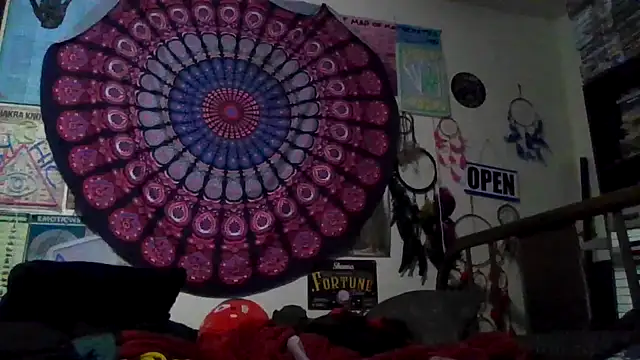 GardeniaFields Show in webcam