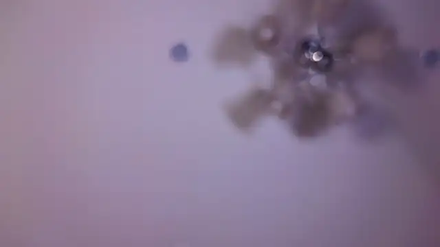 Živý XXX chat SallyCha