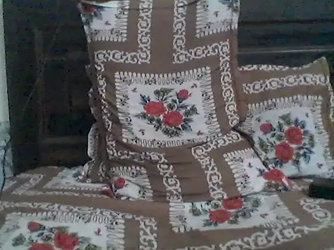 Delhi_Gurugram_のウェブカメラショー