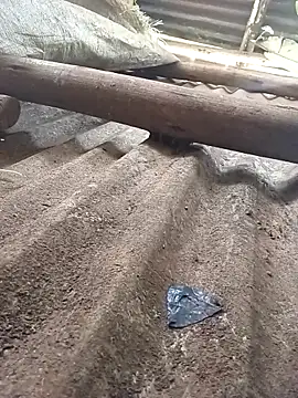 แชท XXX สดของ HOSTESS33