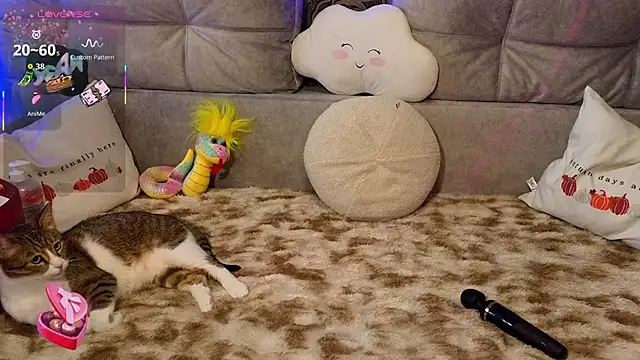 DanaMartina 现场XXX聊天