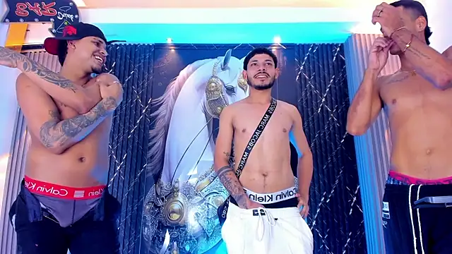 the_knights_of_the_night_ webcam show