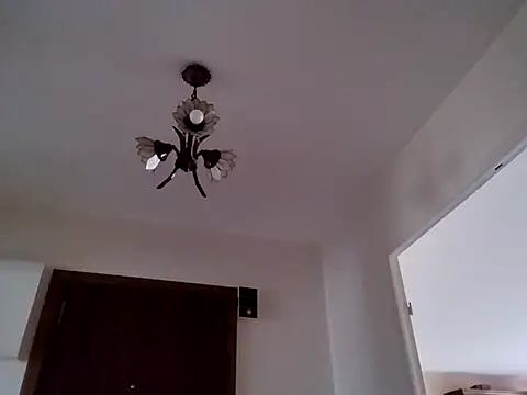 Perv10のウェブカメラショー