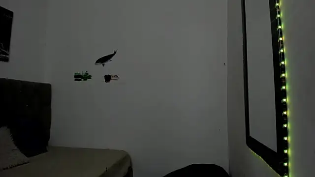 Вебкам-шоу _1DERECK