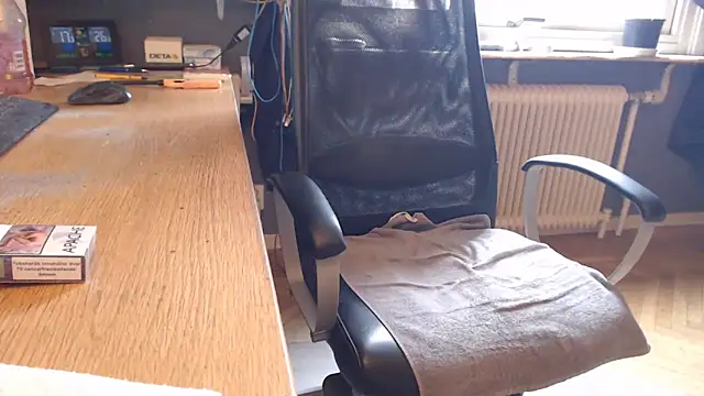 endastjag 웹캠 쇼