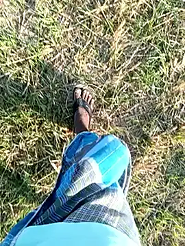 عرض كام dolphiinn