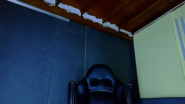 Show Webcam de ALANNFERRER